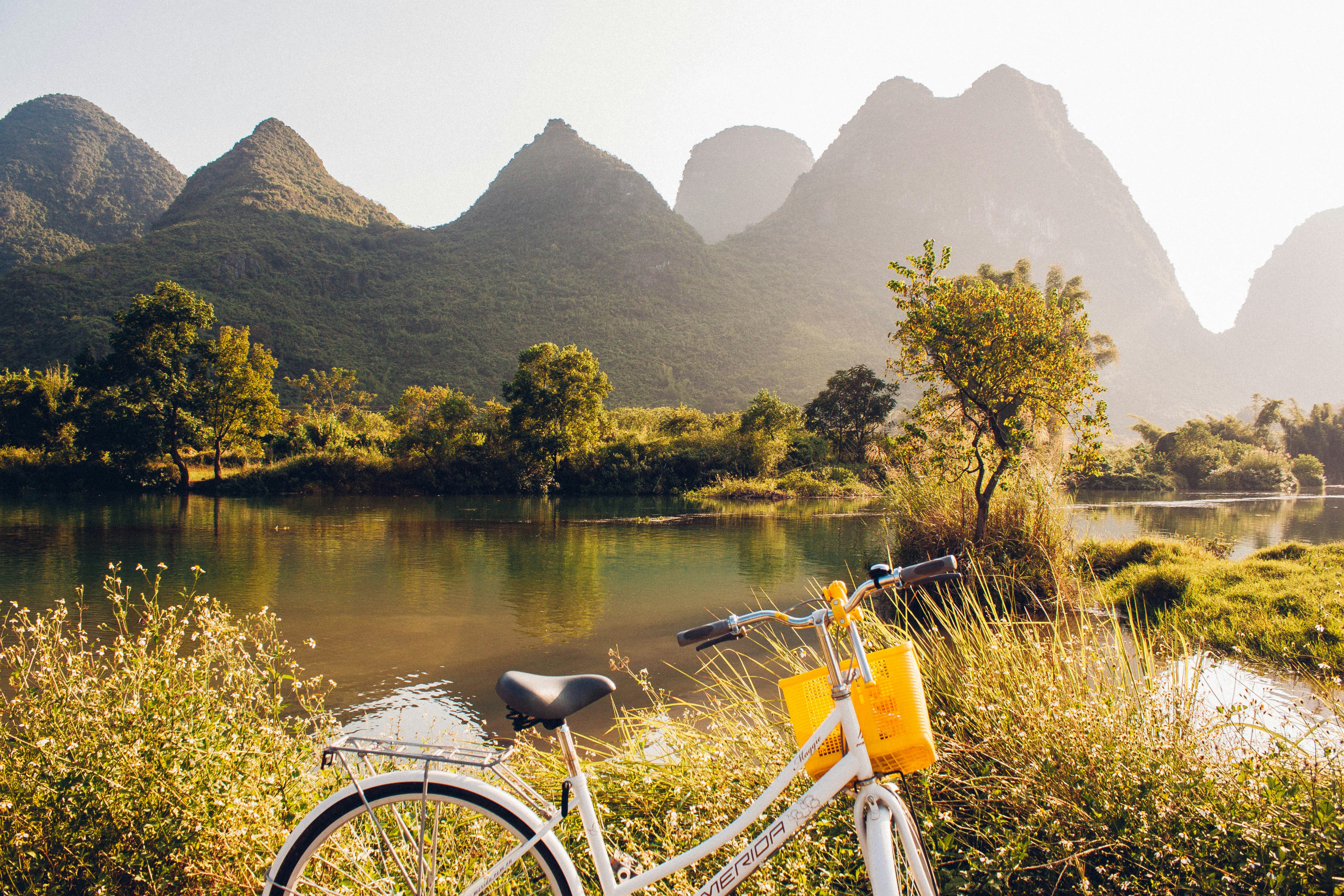 bike in front of trees with lake